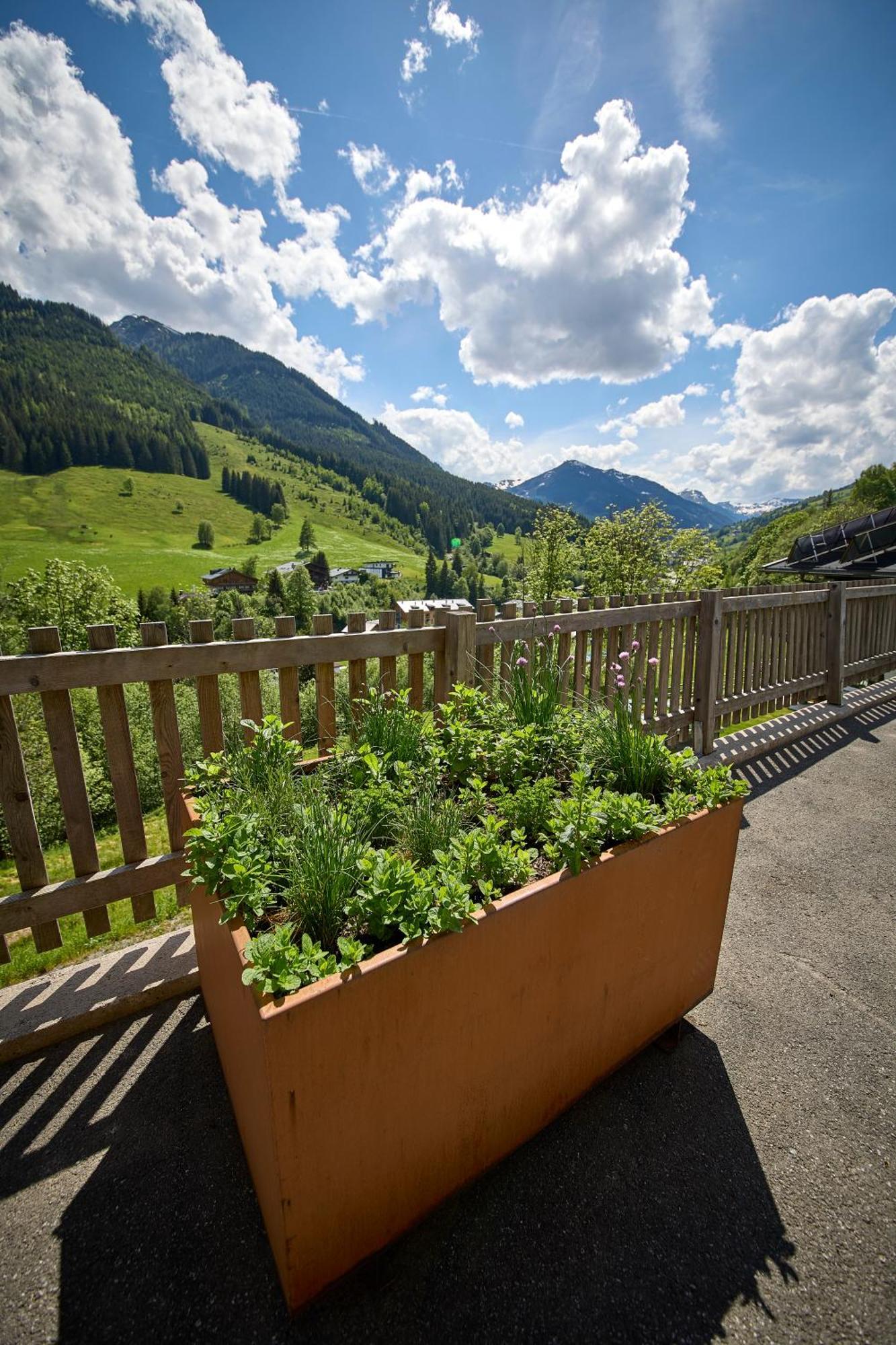 Drei Hittn Saalbach Apartment Exterior foto